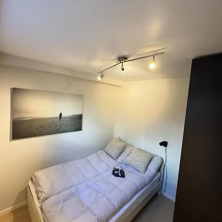 Cozy And In Majorstuen 公寓 *